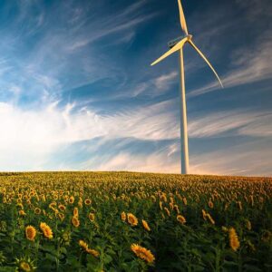 Maintaining Wind Turbines Image